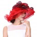 US Local Shipment  Derby Hat Party Fedora Ascot Race Sun Dress Beach Hat  eb-30813018
